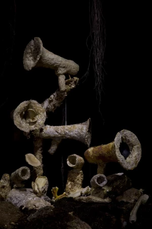 Megaphones made our of mycelium against dark background